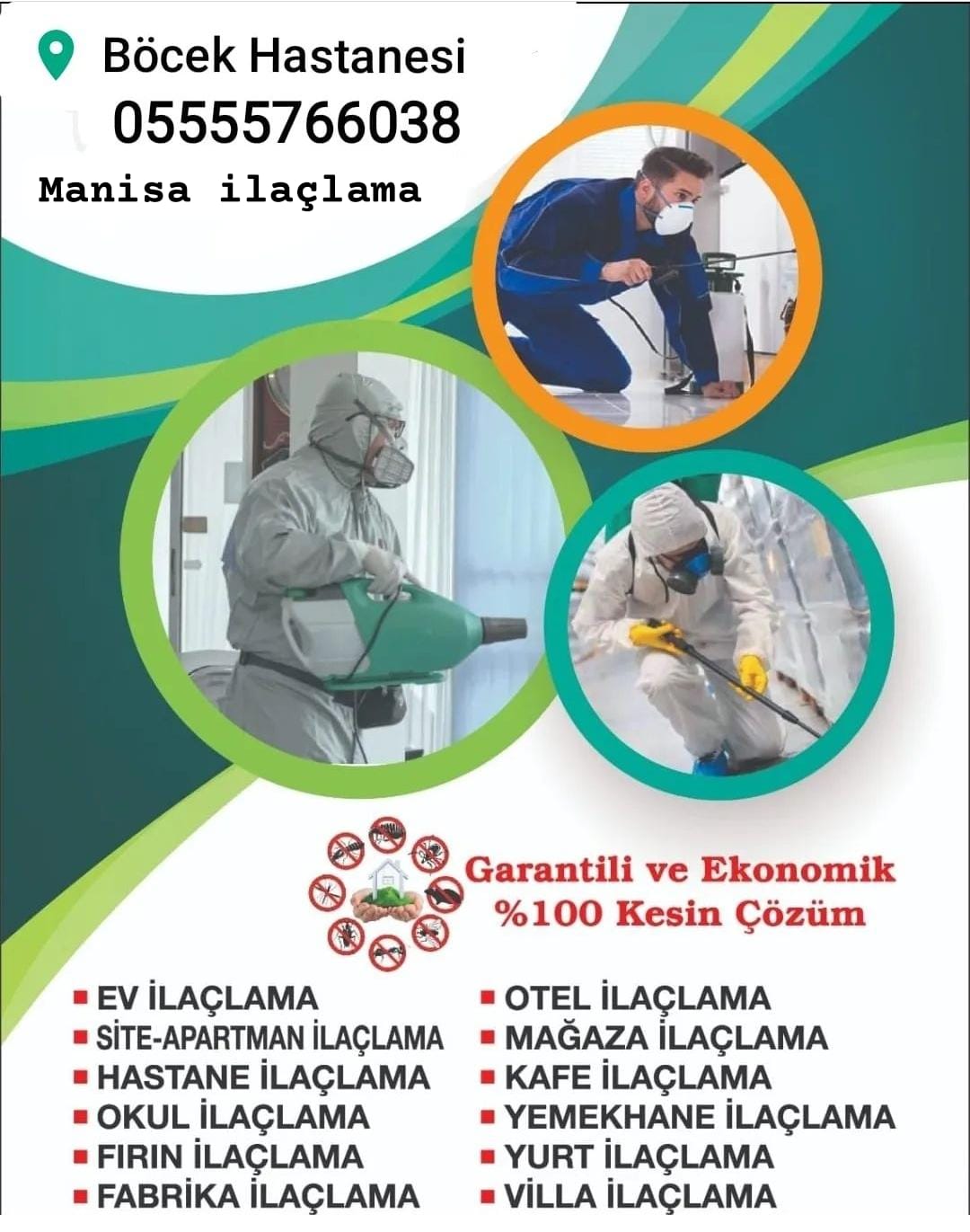 Manisa'da Yaygın Böcek Türleri